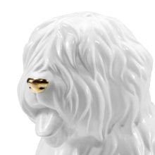 Charger l'image dans la galerie, Bobtail