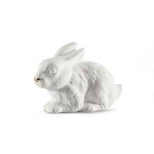Carica l'immagine nel visualizzatore di Gallery, Avery Rabbit