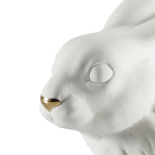 Carica l'immagine nel visualizzatore di Gallery, Rabbit