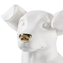 Charger l'image dans la galerie, Jack Russell