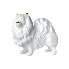 Charger l'image dans la galerie, Pomeranian