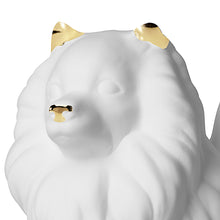 Charger l'image dans la galerie, Pomeranian