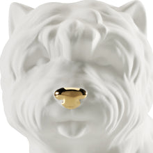 Charger l'image dans la galerie, West Highland