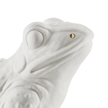 Carica l'immagine nel visualizzatore di Gallery, Frog