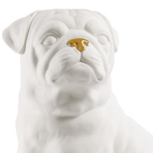 Carica l'immagine nel visualizzatore di Gallery, Pug Dog