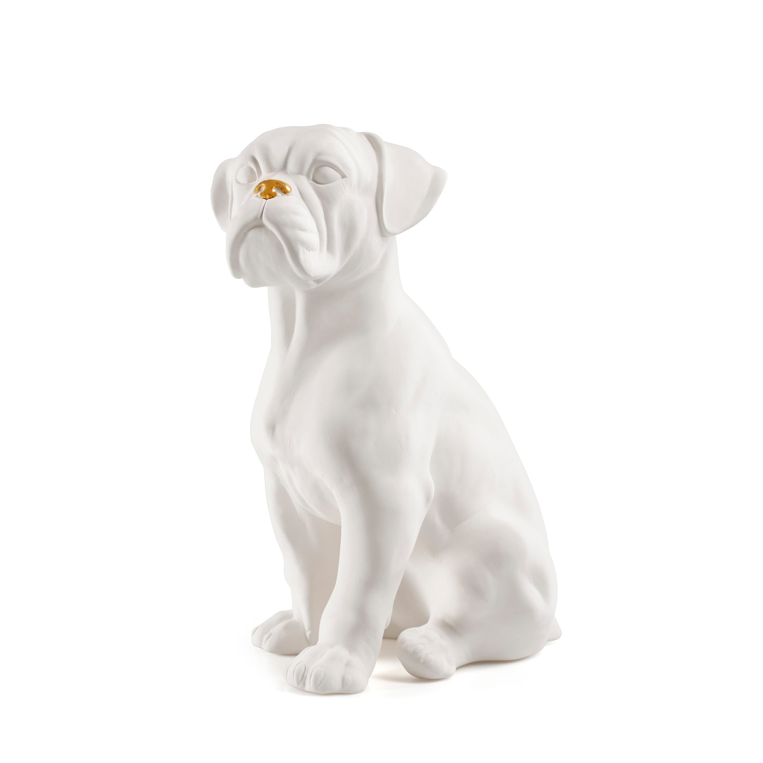Boxer Dog White Colour ocean .my