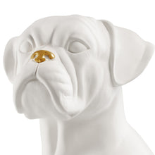 Charger l'image dans la galerie, Boxer