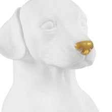 Load image into Gallery viewer, Dalmatian