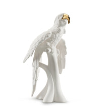 Load image into Gallery viewer, Avery Macaw