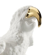 Load image into Gallery viewer, Macaw