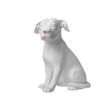 Load image into Gallery viewer, Amstaff