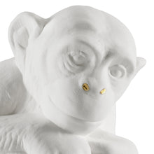 Charger l'image dans la galerie, Gorilla