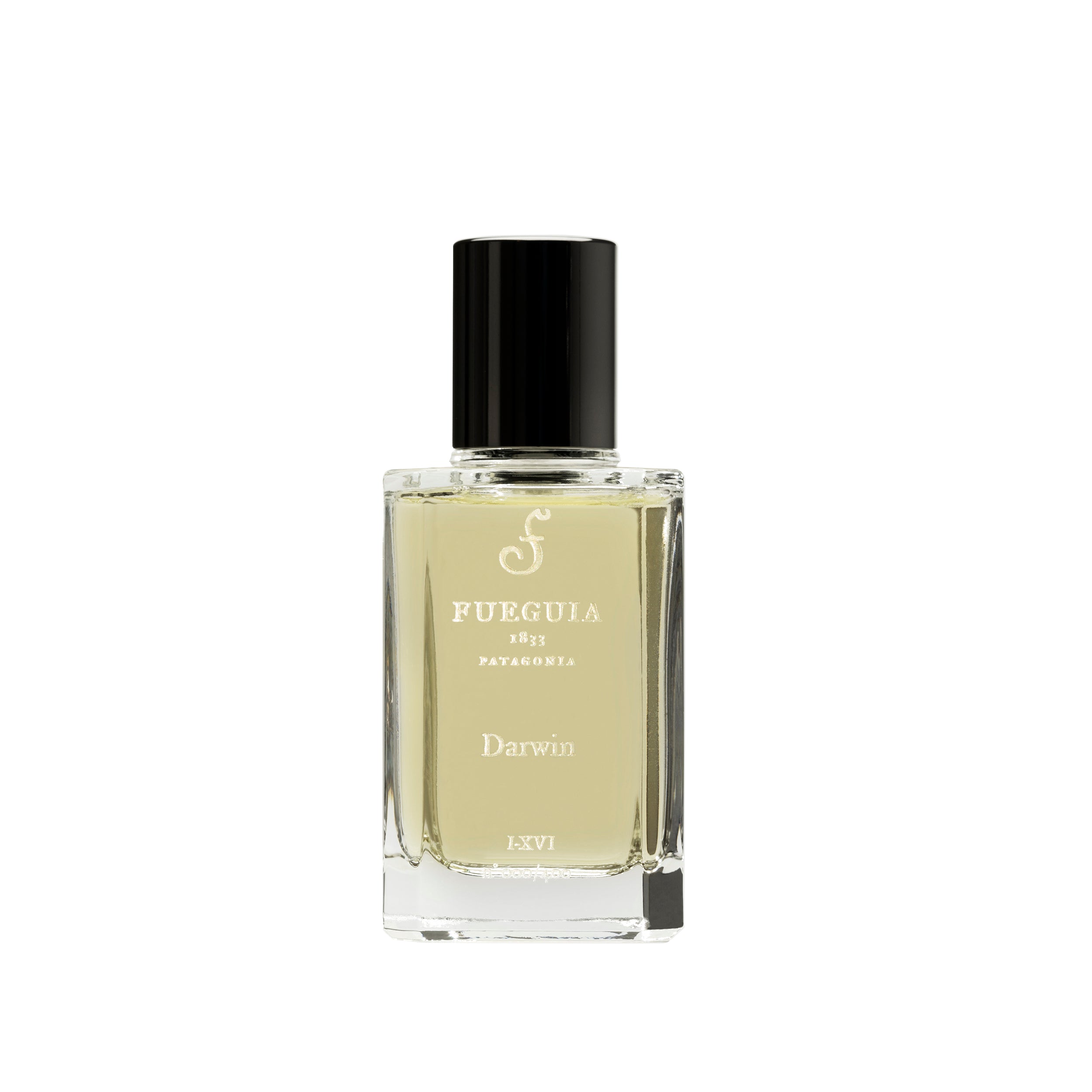 Darwin – FUEGUIA 1833 Japan Online